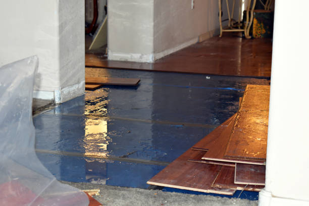 Professional Basement Flood Cleanup technician working in Oak Ridge, FL
